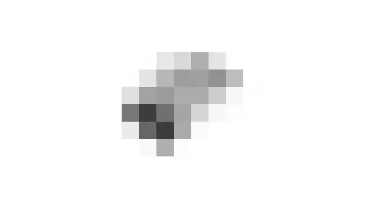 Essenrijs 21 St. Willebrord thumbnail 55