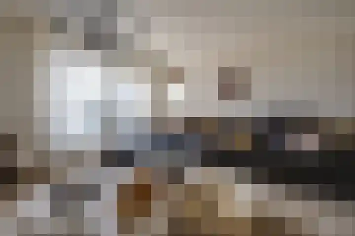 Essenrijs 21 St. Willebrord thumbnail 8