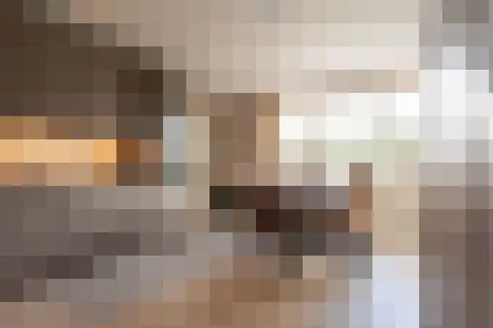 Essenrijs 4 St. Willebrord thumbnail 17