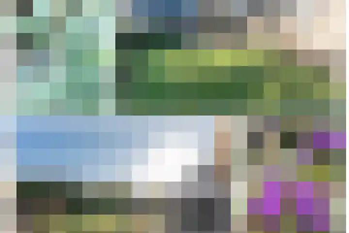 Essenrijs 4 St. Willebrord thumbnail 23