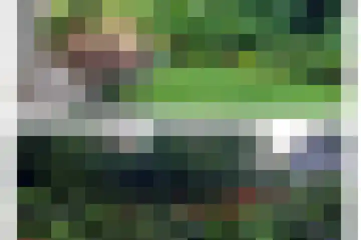 Essenrijs 4 St. Willebrord thumbnail 24