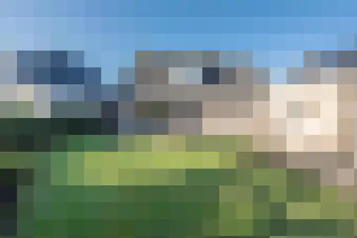 Essenrijs 4 St. Willebrord thumbnail 25