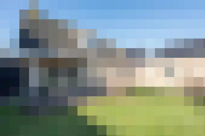 Essenrijs 4 St. Willebrord thumbnail 26