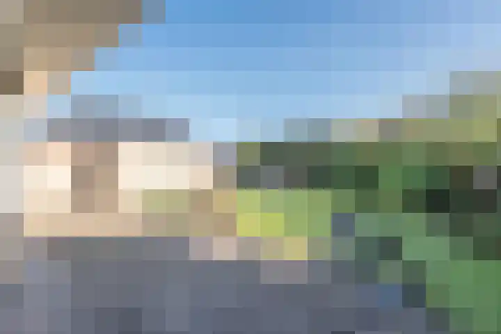 Essenrijs 4 St. Willebrord thumbnail 27