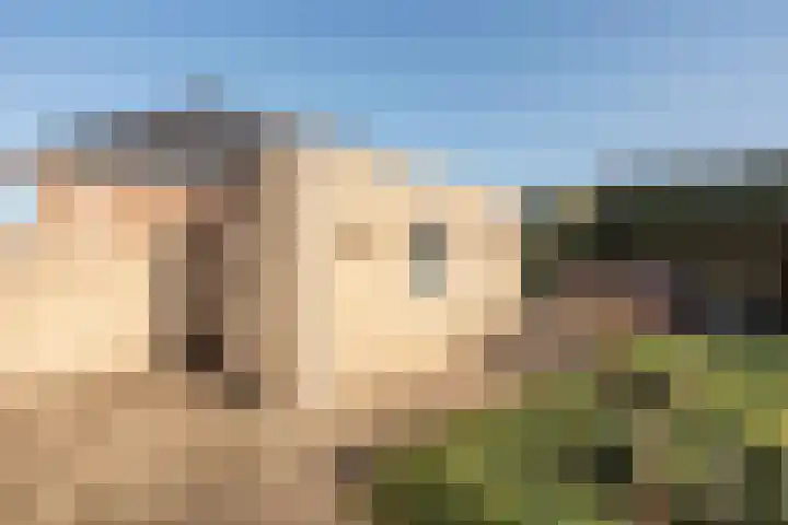 Essenrijs 4 St. Willebrord thumbnail 29