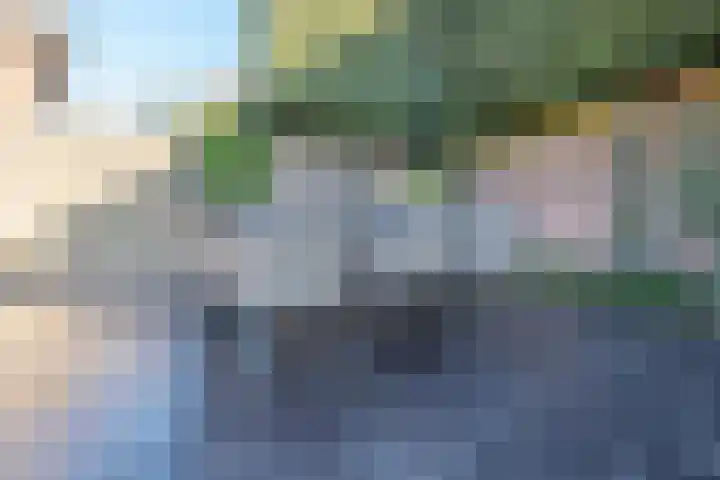 Essenrijs 4 St. Willebrord thumbnail 30