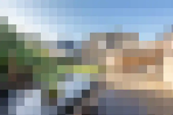 Essenrijs 4 St. Willebrord thumbnail 31