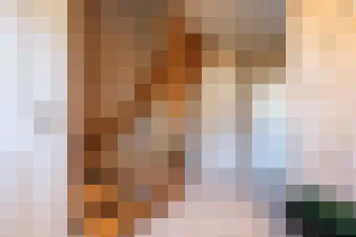 Essenrijs 4 St. Willebrord thumbnail 32