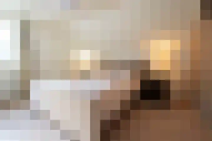 Essenrijs 4 St. Willebrord thumbnail 34