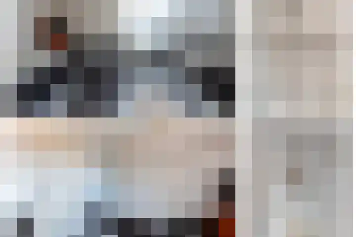 Essenrijs 4 St. Willebrord thumbnail 36