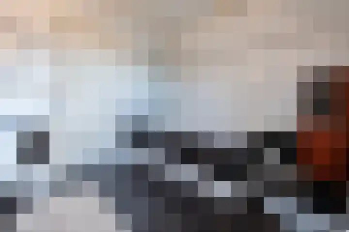 Essenrijs 4 St. Willebrord thumbnail 38