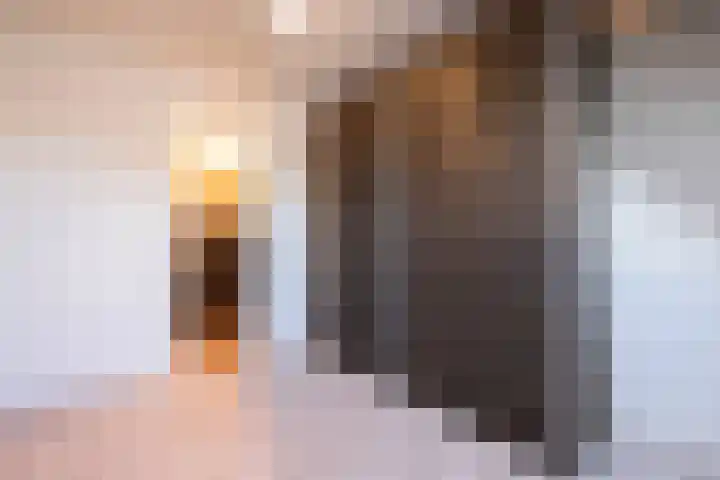 Essenrijs 4 St. Willebrord thumbnail 39