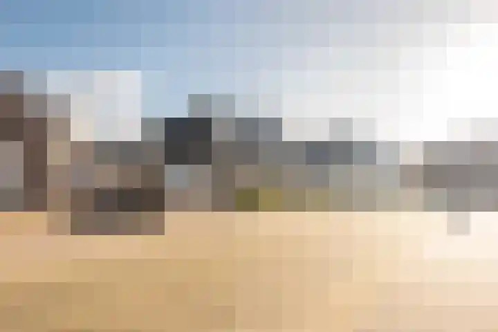 Essenrijs 4 St. Willebrord thumbnail 4