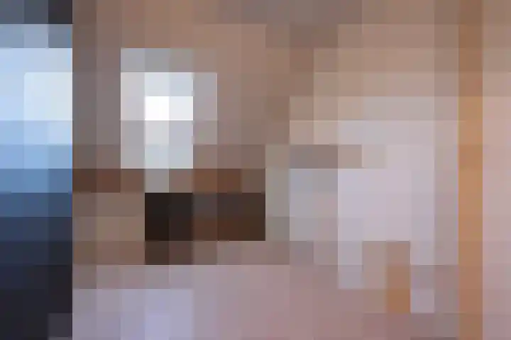 Essenrijs 4 St. Willebrord thumbnail 40