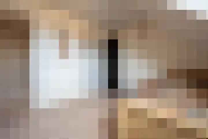 Essenrijs 4 St. Willebrord thumbnail 42