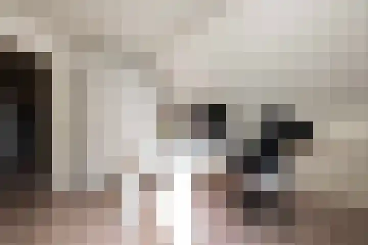 Essenrijs 4 St. Willebrord thumbnail 43