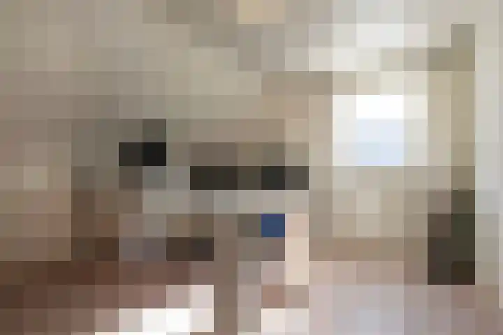 Essenrijs 4 St. Willebrord thumbnail 44