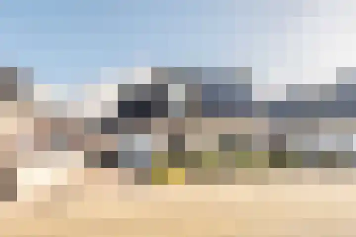 Essenrijs 4 St. Willebrord thumbnail 50