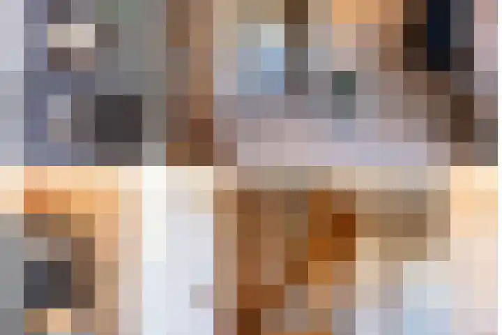 Essenrijs 4 St. Willebrord thumbnail 6