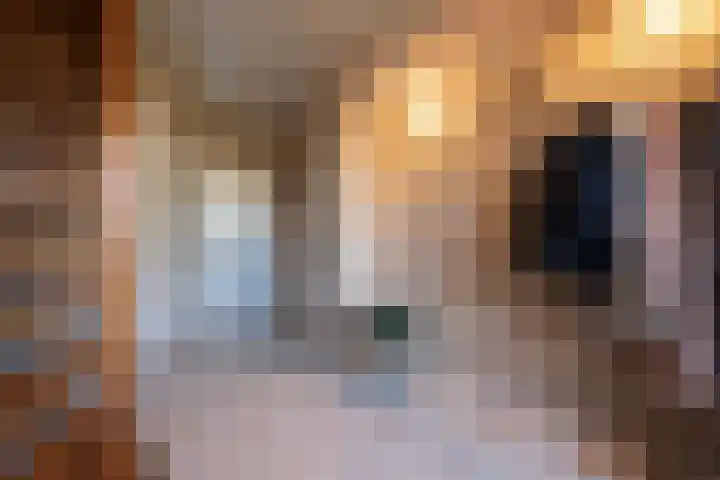 Essenrijs 4 St. Willebrord thumbnail 7