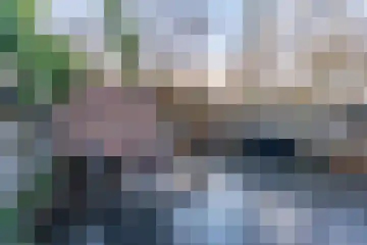 Essenrode 80 Voorhout thumbnail 30