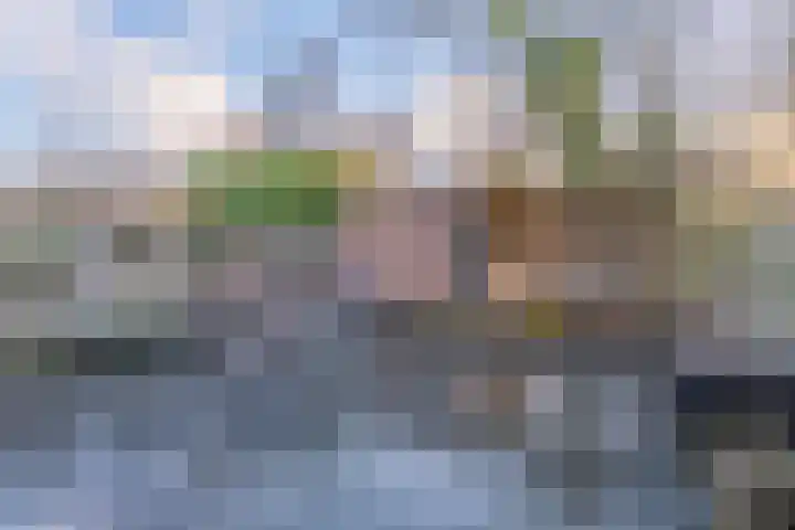 Essenrode 80 Voorhout thumbnail 31