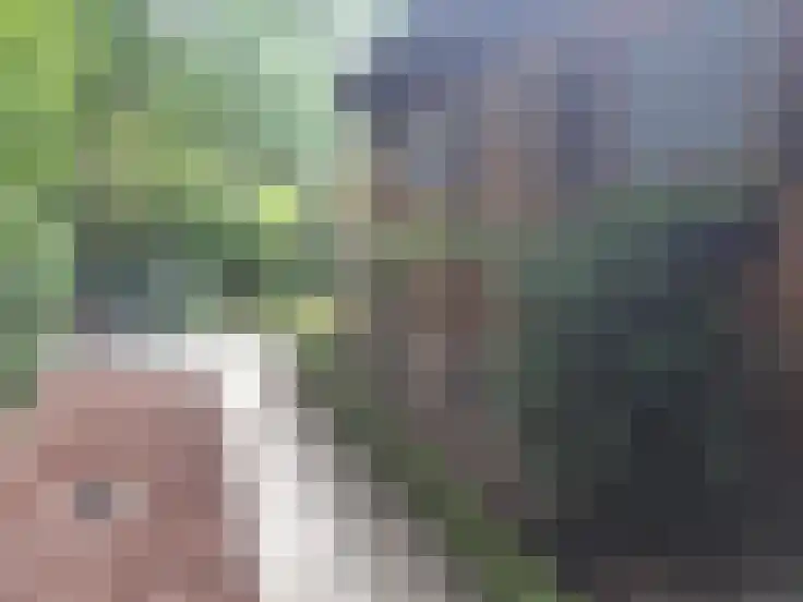 Essenseweg 71 Nispen thumbnail 11