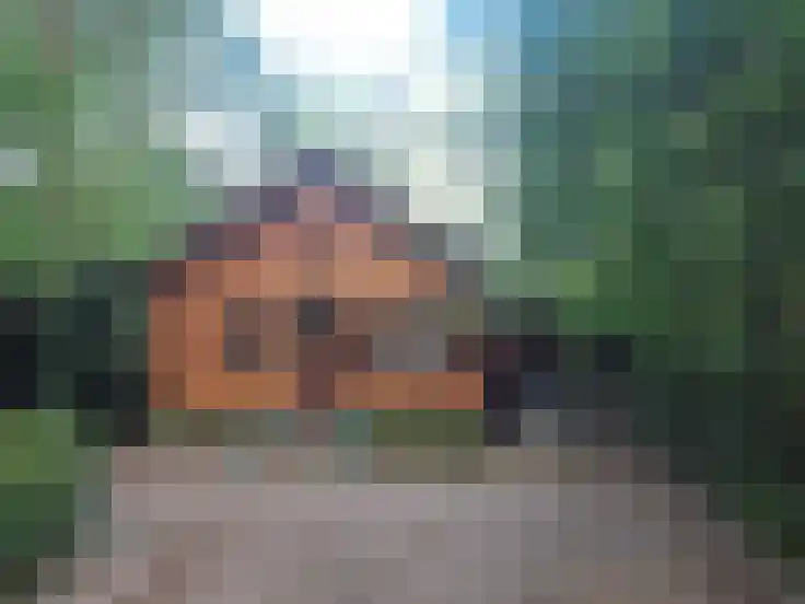 Essenseweg 71 Nispen thumbnail 12