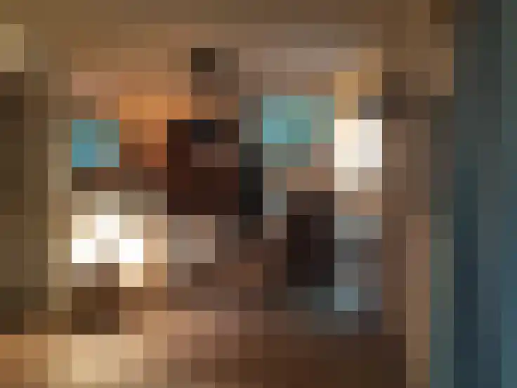 Essenseweg 71 Nispen thumbnail 4