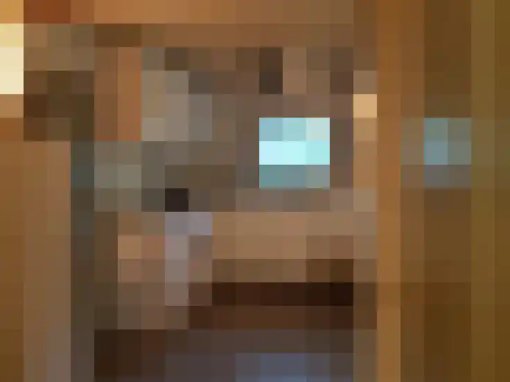 Essenseweg 71 Nispen thumbnail 5