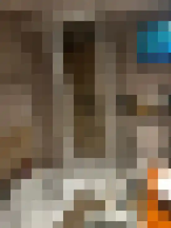 Essenseweg 71 Nispen thumbnail 6