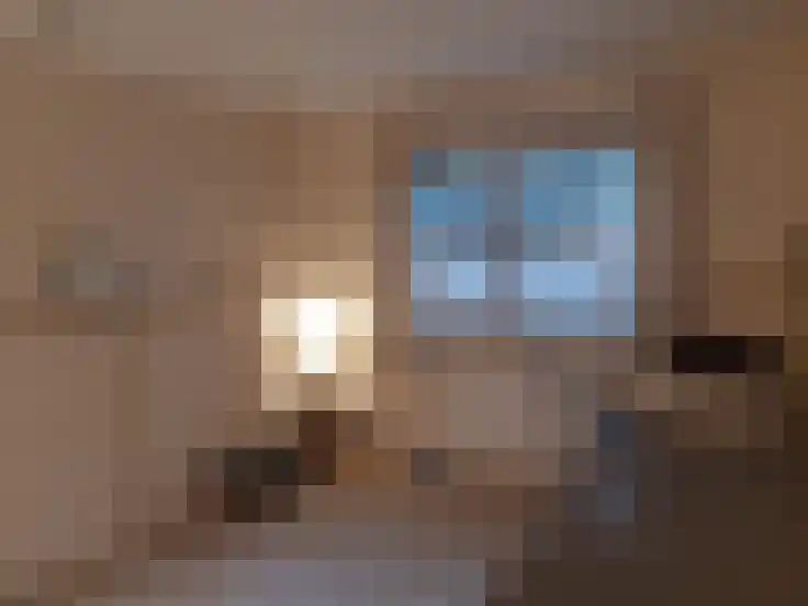 Essenseweg 71 Nispen thumbnail 7