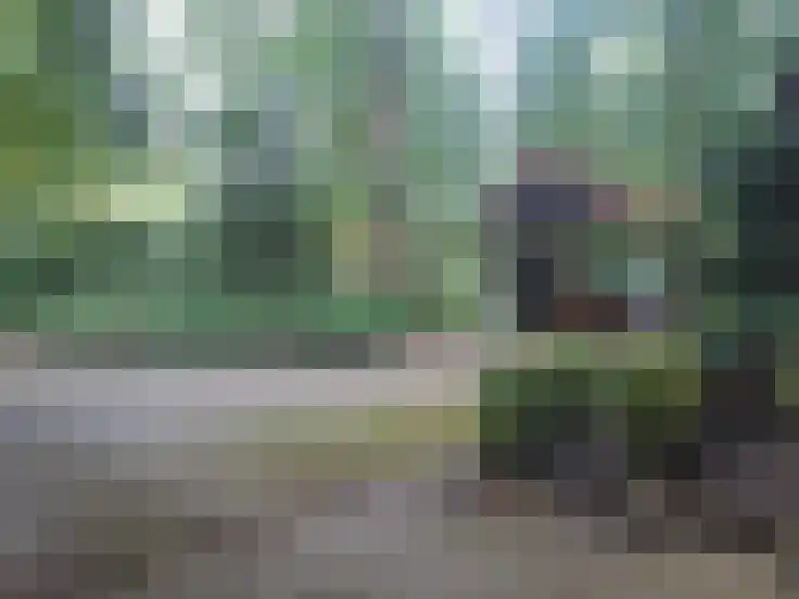 Essenseweg 71 Nispen thumbnail 8