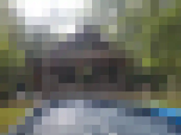 Essenseweg 71 Nispen thumbnail 9