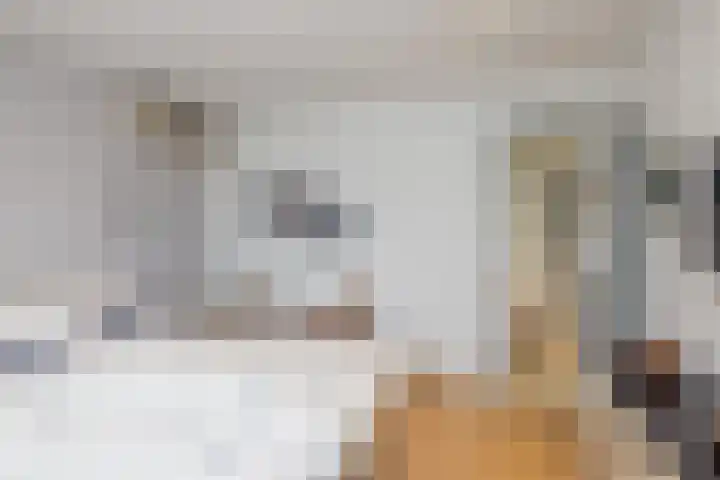 Essenstraat 12 Brunssum thumbnail 32