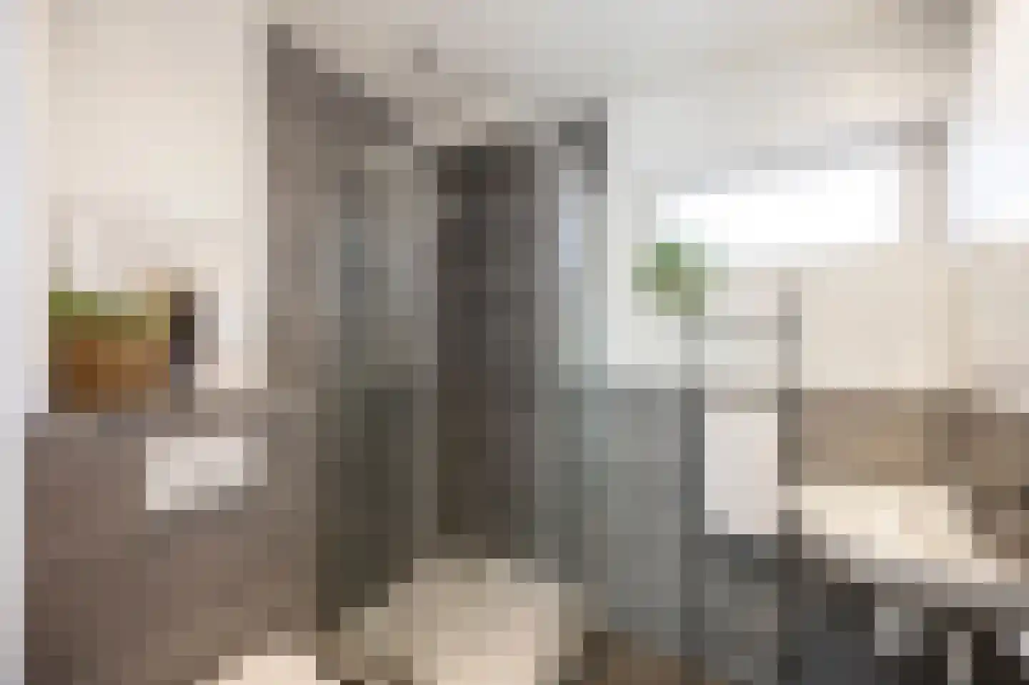 Essenstraat 2 B Brunssum thumbnail 16