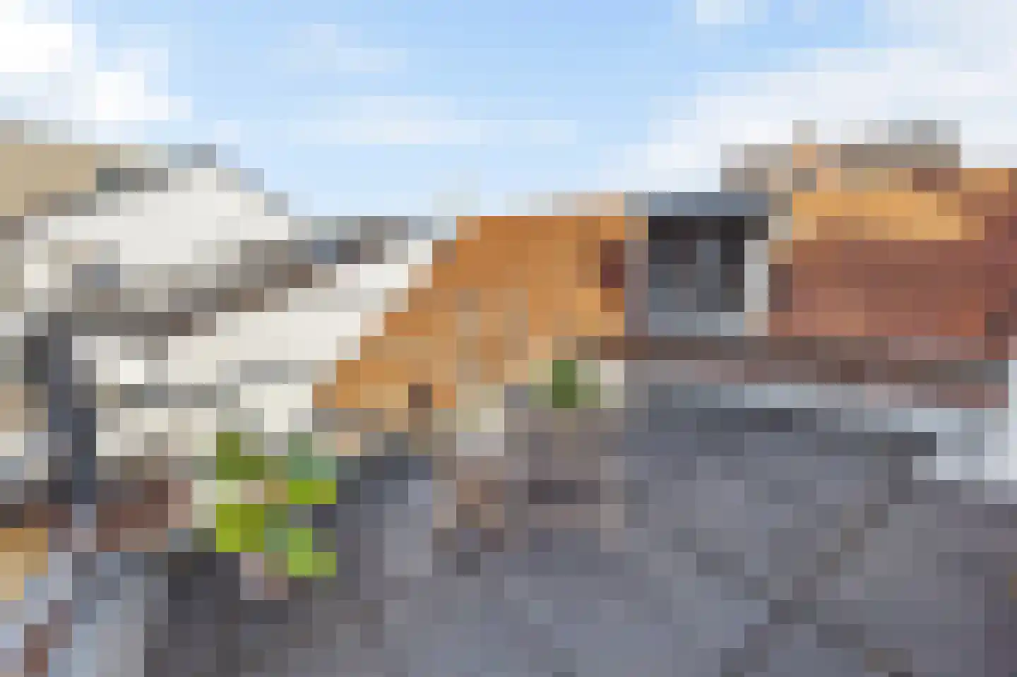 Essenstraat 2 B Brunssum thumbnail 20