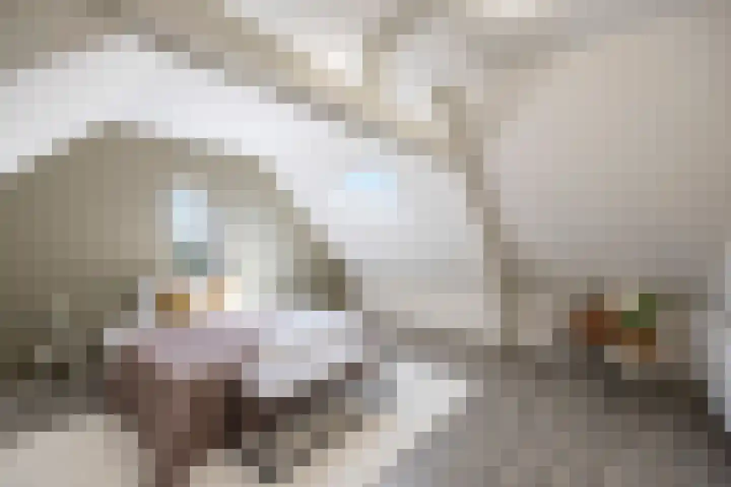Essenstraat 2 B Brunssum thumbnail 28