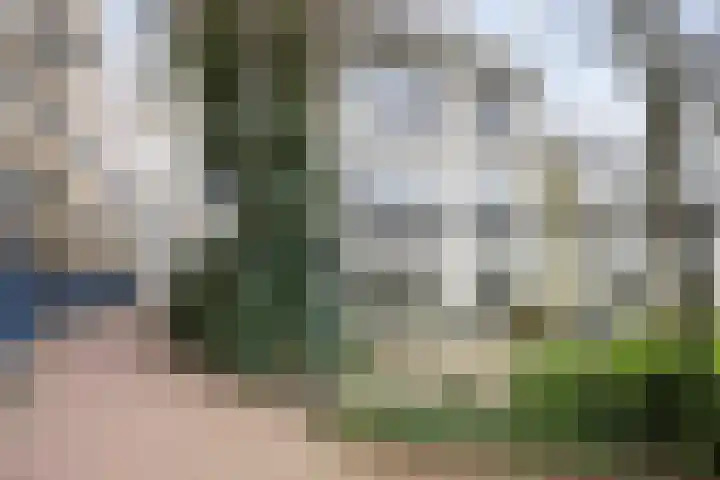 Essenstraat 3 Haarlem thumbnail 35