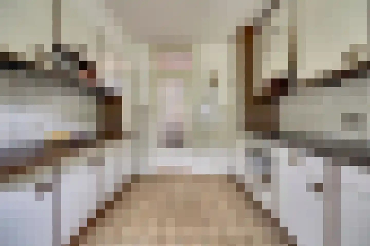 Essenstraat 48 Spijkenisse thumbnail 12
