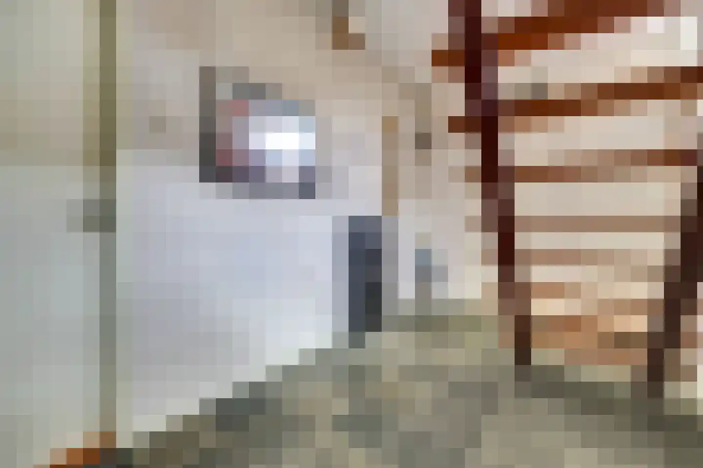 Essenstraat 48 Spijkenisse thumbnail 14