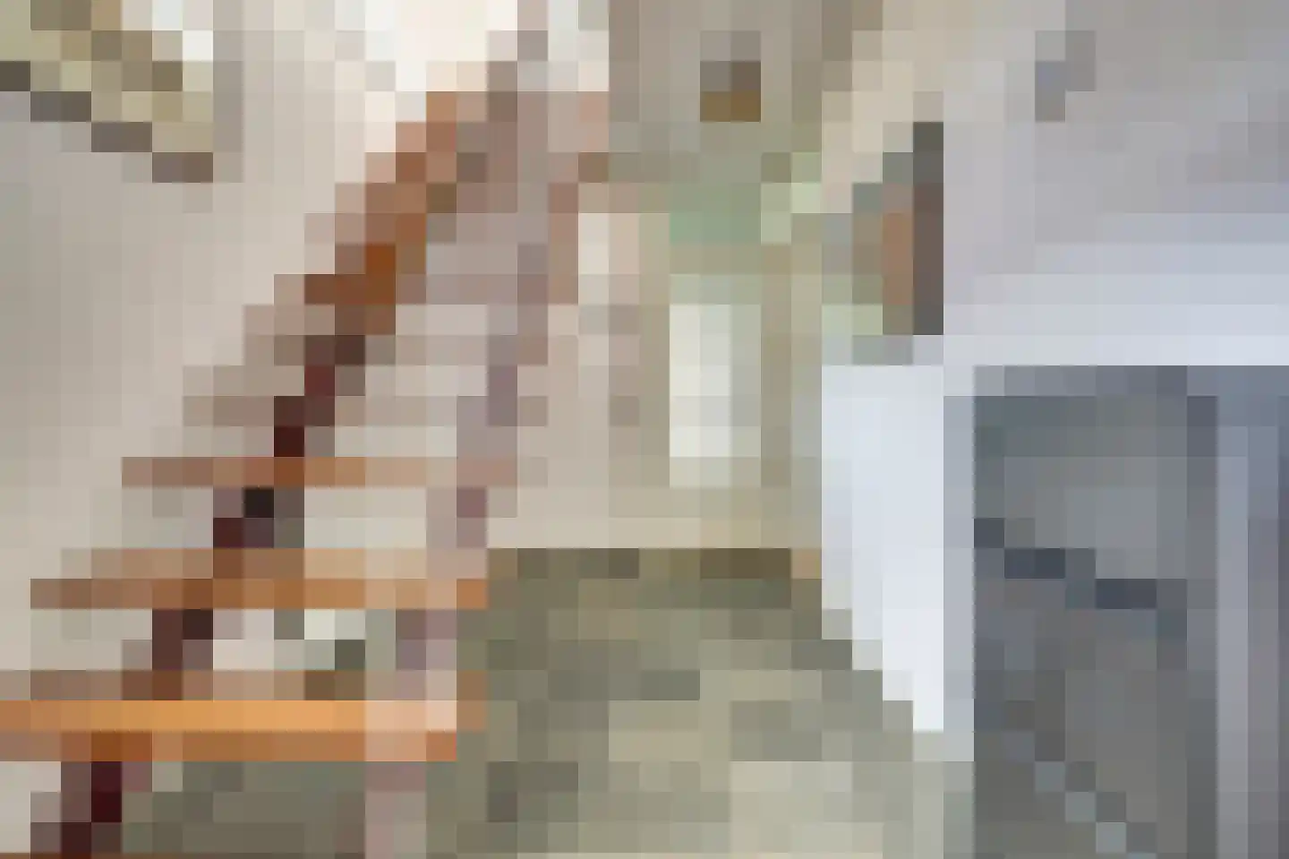 Essenstraat 48 Spijkenisse thumbnail 15