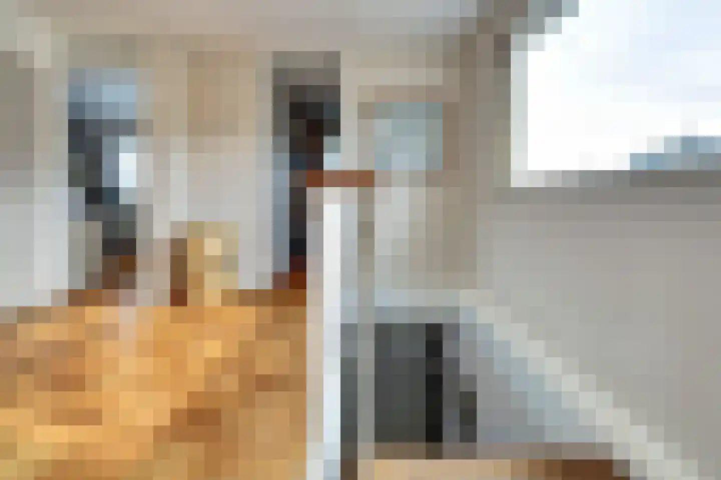Essenstraat 48 Spijkenisse thumbnail 16