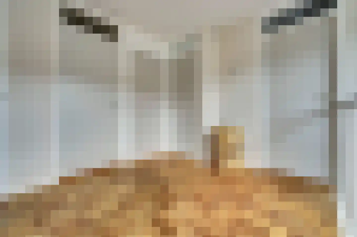 Essenstraat 48 Spijkenisse thumbnail 18