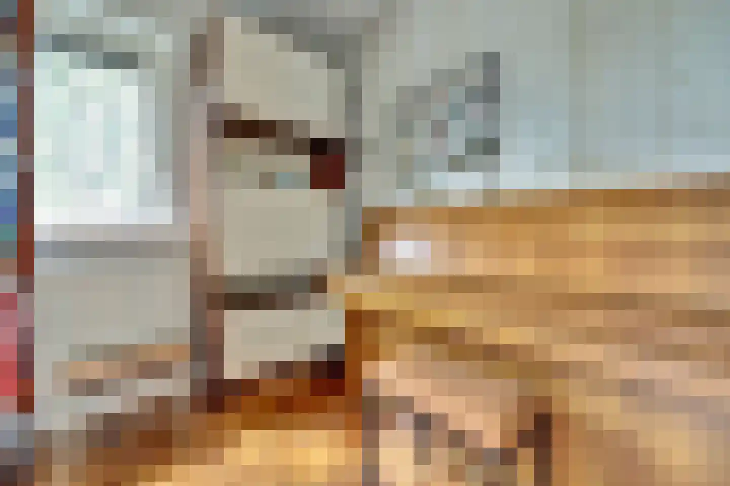 Essenstraat 48 Spijkenisse thumbnail 28