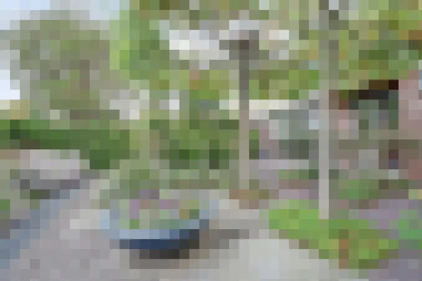 Essenstraat 48 Spijkenisse thumbnail 32