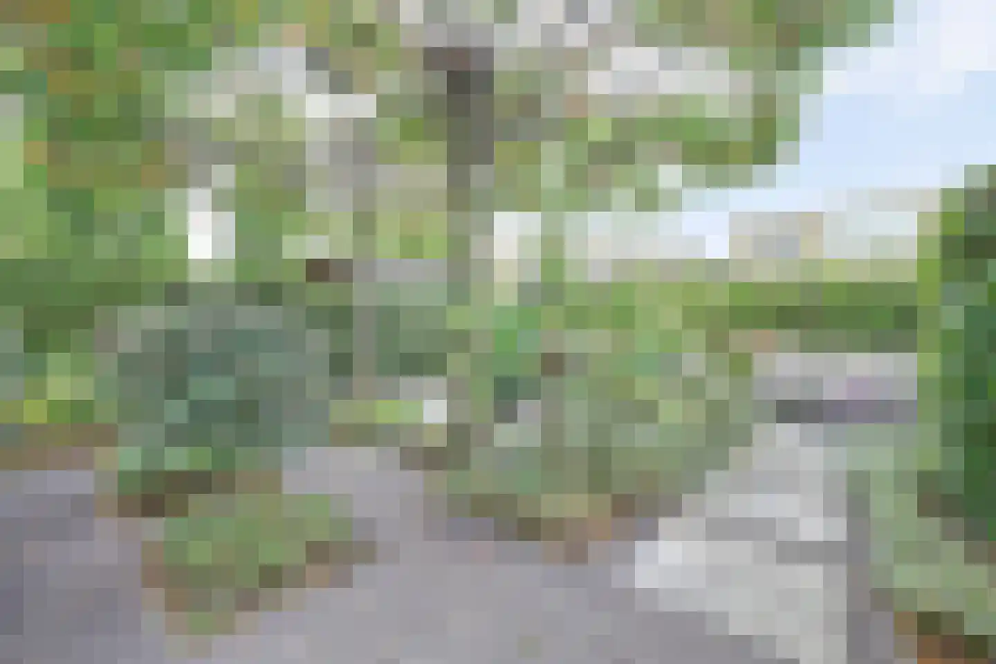 Essenstraat 48 Spijkenisse thumbnail 33