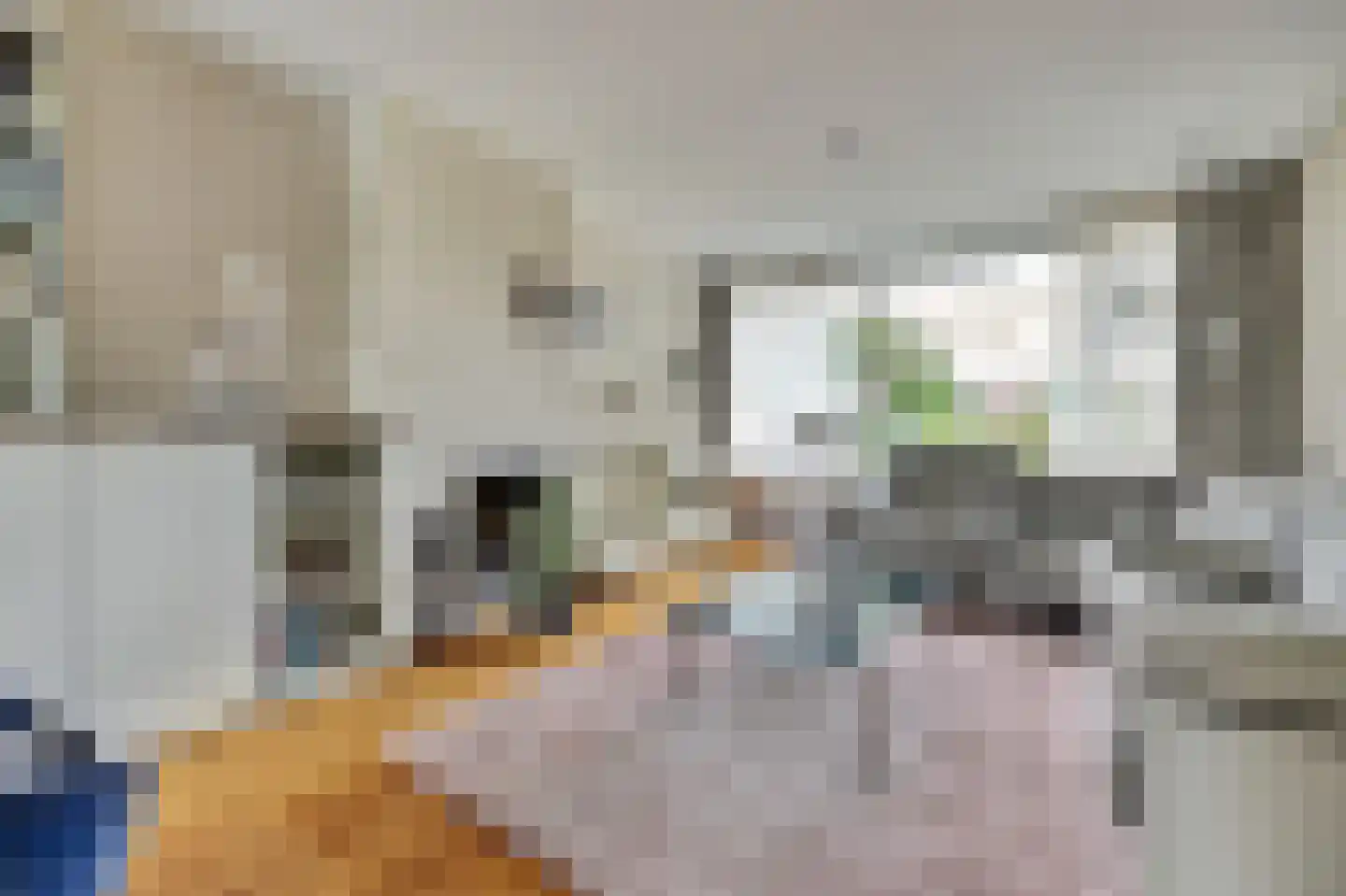 Essenstraat 48 Spijkenisse thumbnail 4