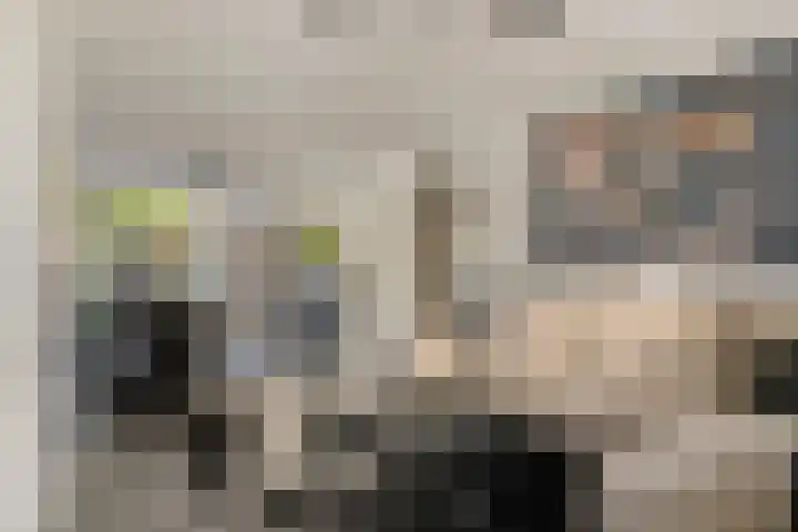 Essenstraat 50 Spijkenisse thumbnail 11