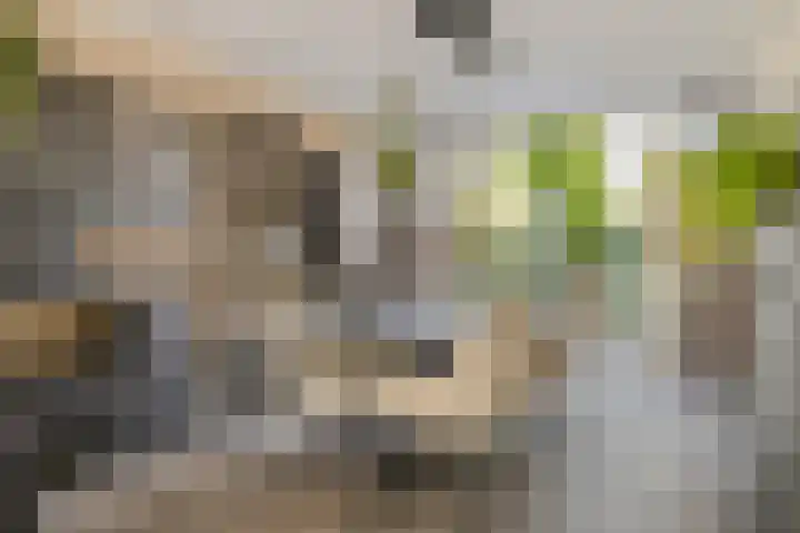 Essenstraat 50 Spijkenisse thumbnail 12